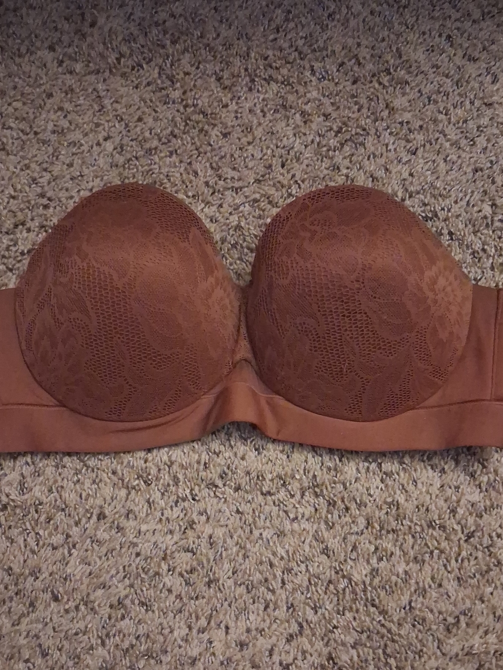 Cacique Strapless Lace Bra in Chocolate Brown 40b